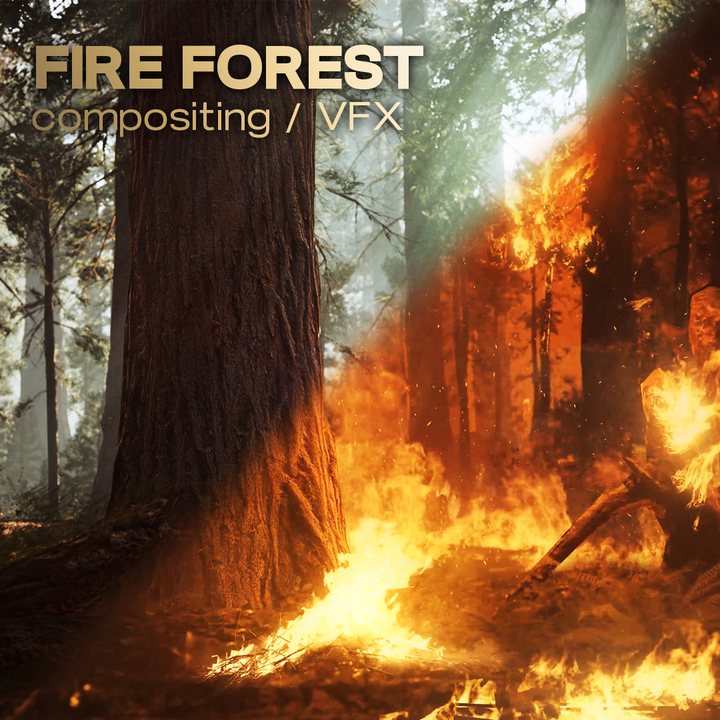 Fire Forest — compositing and VFX
